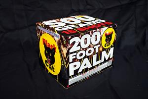 200 Foot Palm