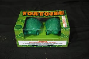tortoise 2 Pack